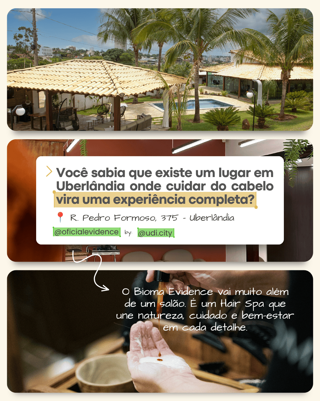 Post Bioma Evidence, divulgação com Udi City