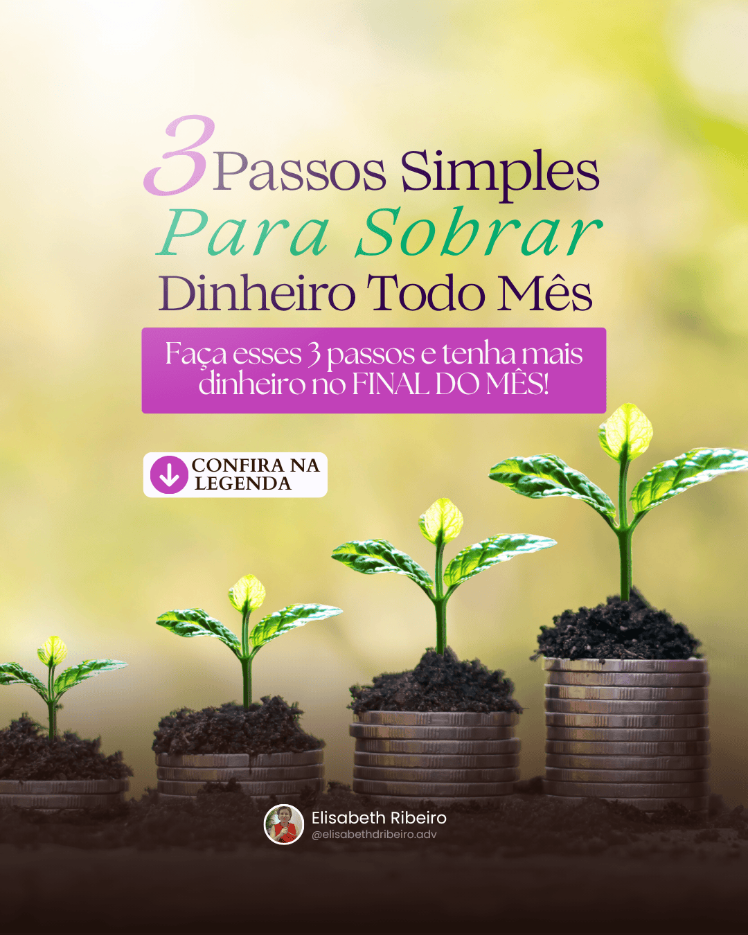 Post Elisabeth Ribeiro, educação financeira, variação