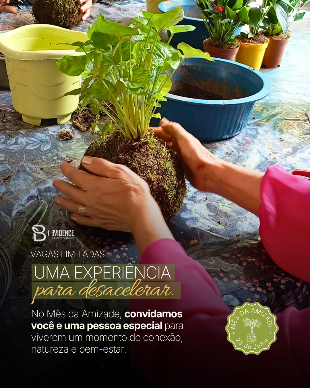 Post Bioma Evidence, mês da amizade
